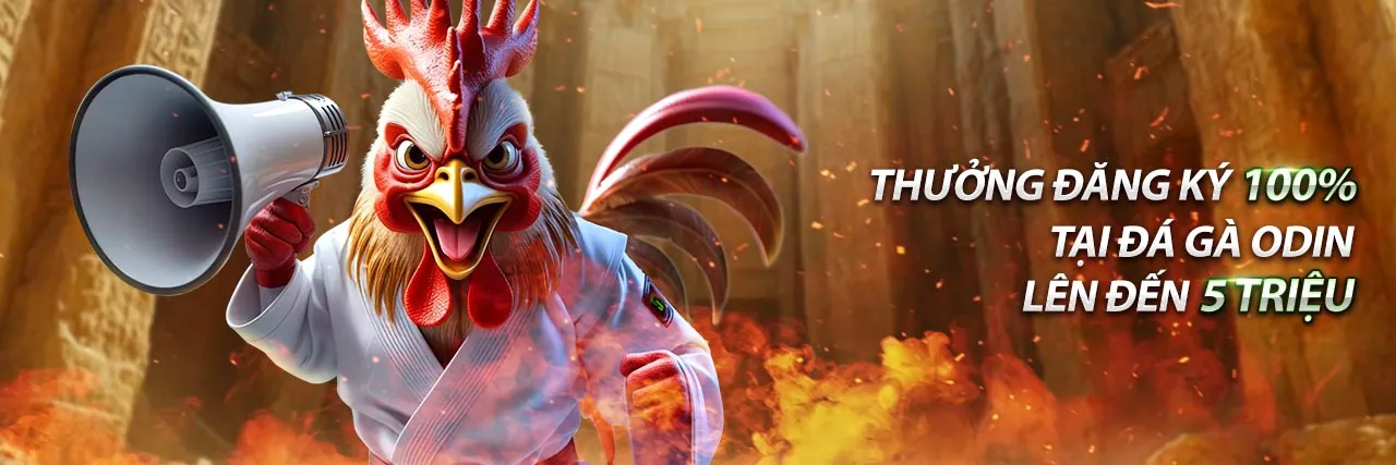 Sân vận động bóng đá với giao diện cá cược thể thao 60win đăng nhập