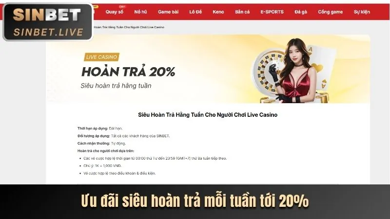 Hoàn trả hàng ngày, hàng tuần 60win